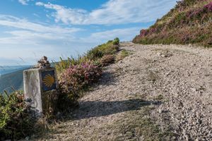 Camino Primitivo